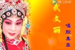 晋剧田桂兰高徒武文丽专辑下载