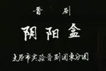 阴阳河下载