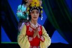 梨花情下载