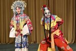 金水桥下载