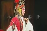 杨门女将 全集下载