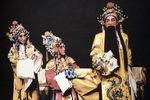 打金枝选场下载