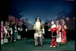卧虎令 全集下载