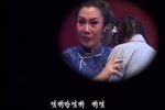 华子良下载