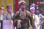 杨门女将 全集