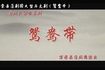 鸳鸯带 全集