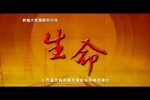生命 全集
