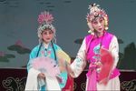 火焰驹表花下载