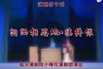 泪洒相思地临终恨