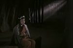 窦娥冤 选段