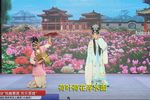 火焰驹 全集