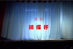 蝴蝶杯 全集