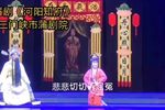 河阳知府 选段