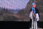 别窑 选段