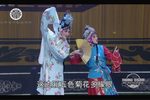 火焰驹表花