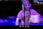 烟花泪 选段
