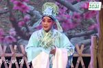 人面桃花 选段