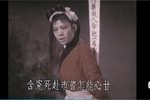 窦娥冤下载