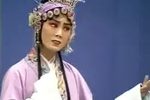 闻讯/打庙