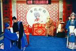 芦花下载