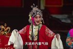杨门女将 全集