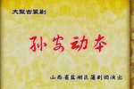 孙安动本 全集