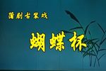 蝴蝶杯 全集下载