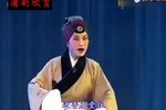 荆州王 全集下载
