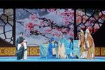 芦花训子下载