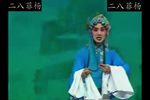 王宝钏下载