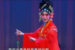 双玉蝉 选段下载