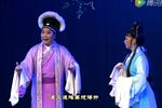 情缘 全集
