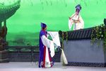 站花墙 全集下载