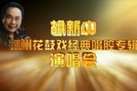 胡新中荆州花鼓戏经典唱腔专辑演唱会下载