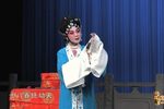 双玉婵悲婵下载