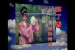 郭丁香第四本下载