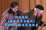 妹妹找哥泪花流下载
