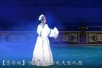 赵玉贞装疯 选段下载