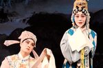 玉蜻蜓庵堂认母下载