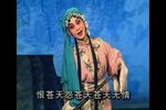 郭丁香第三本下载