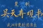 吴天寿观书下载