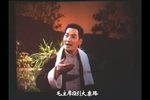 追报表 选段