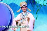 梁祝访友 选段