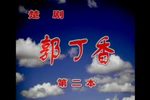 郭丁香第二本下载