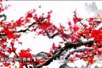 警钟长鸣