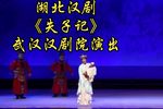失子记 全集下载