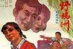 野鸭洲下载