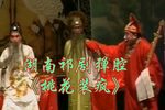 桃花装疯 全集