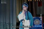 金印记 上集下载