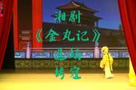 金丸记下载
